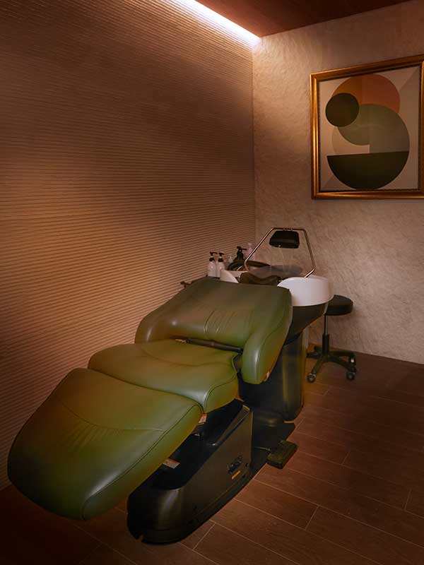 Luxurious reclining hair wash chair and basin